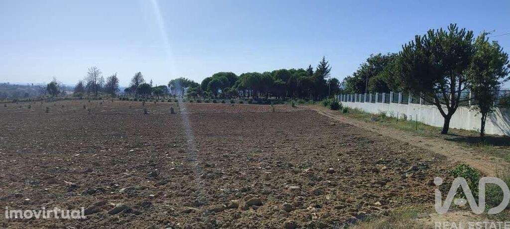 Quinta em Sameice e Santa Eulália de 240 m2 - Grande imagem: 3/26