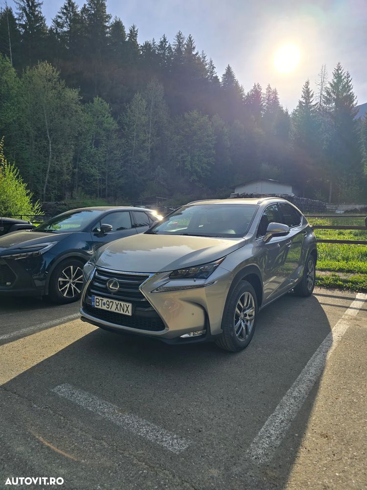 Lexus Seria NX 200t AWD Luxury - 5