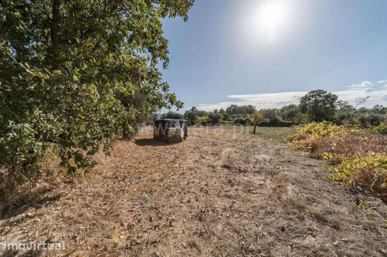 Terreno / Fundão, Valverde - Grande imagem: 4/13