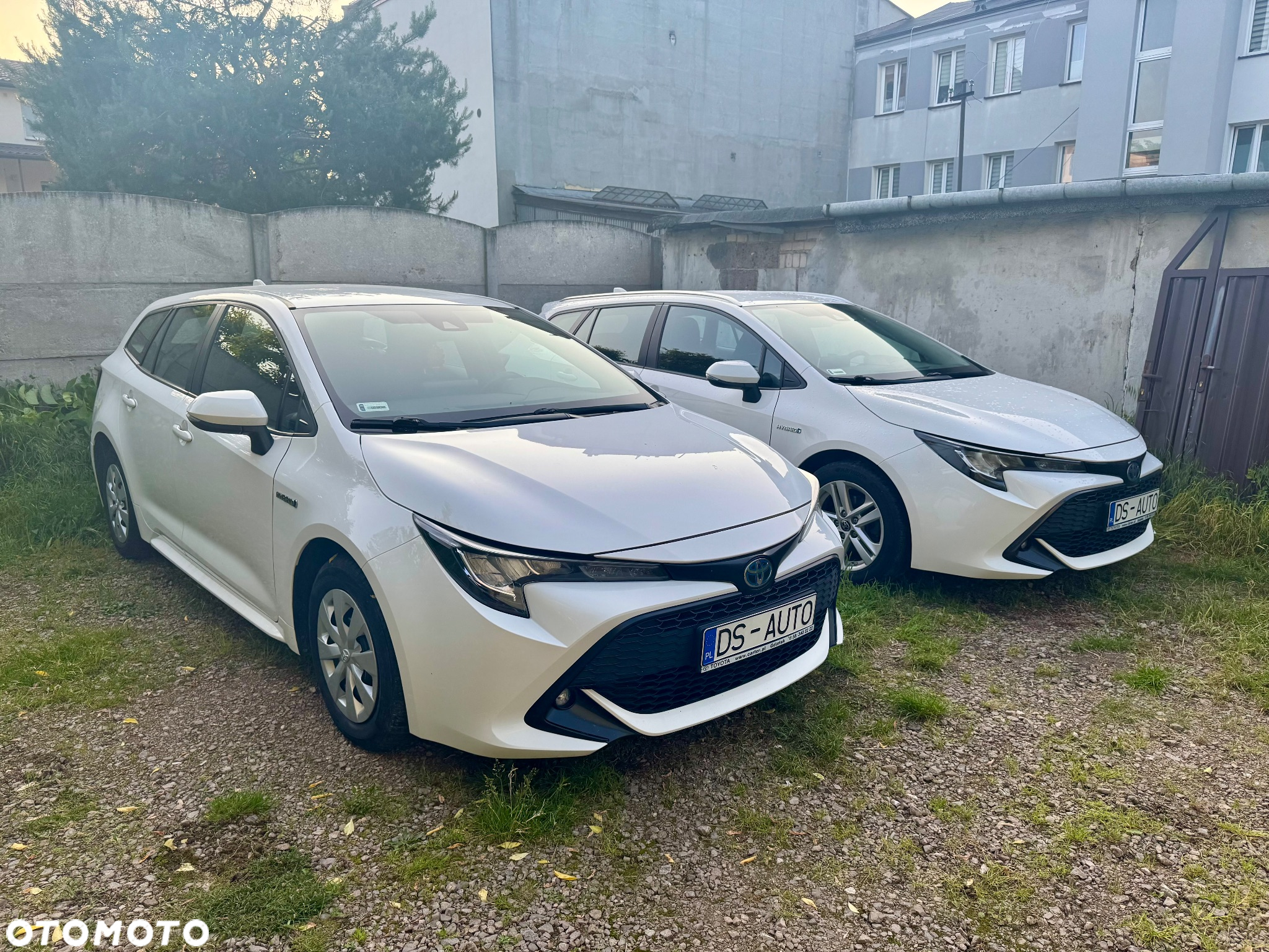 Toyota Corolla - 23
