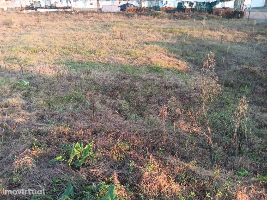 Lote de terreno para moradia geminada - Aradas - Grande imagem: 4/18