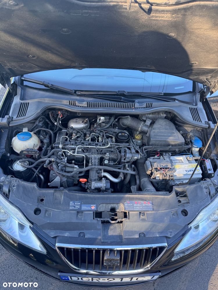 Seat Ibiza - 15