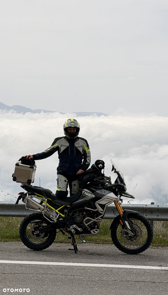Triumph Tiger - 5
