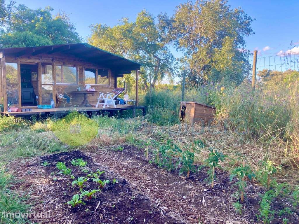 Terreno fértil em zona rural, para agricultura, projeto florestal, ... - Grande imagem: 5/18