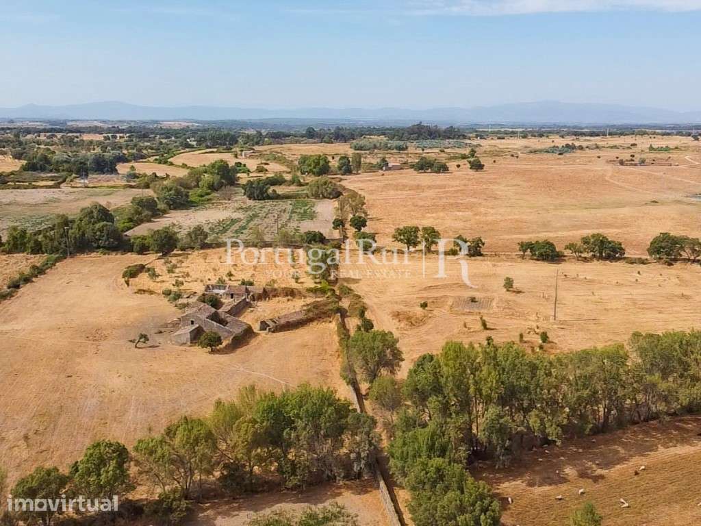 Propriedade com 33 ha e várias ruinas em Castelo Branco - Grande imagem: 3/60