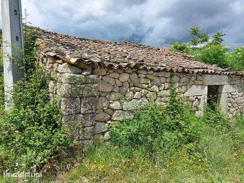 Casa Rural em Quinta da Catraia - Longroiva - Mêda - Grande imagem: 5/12