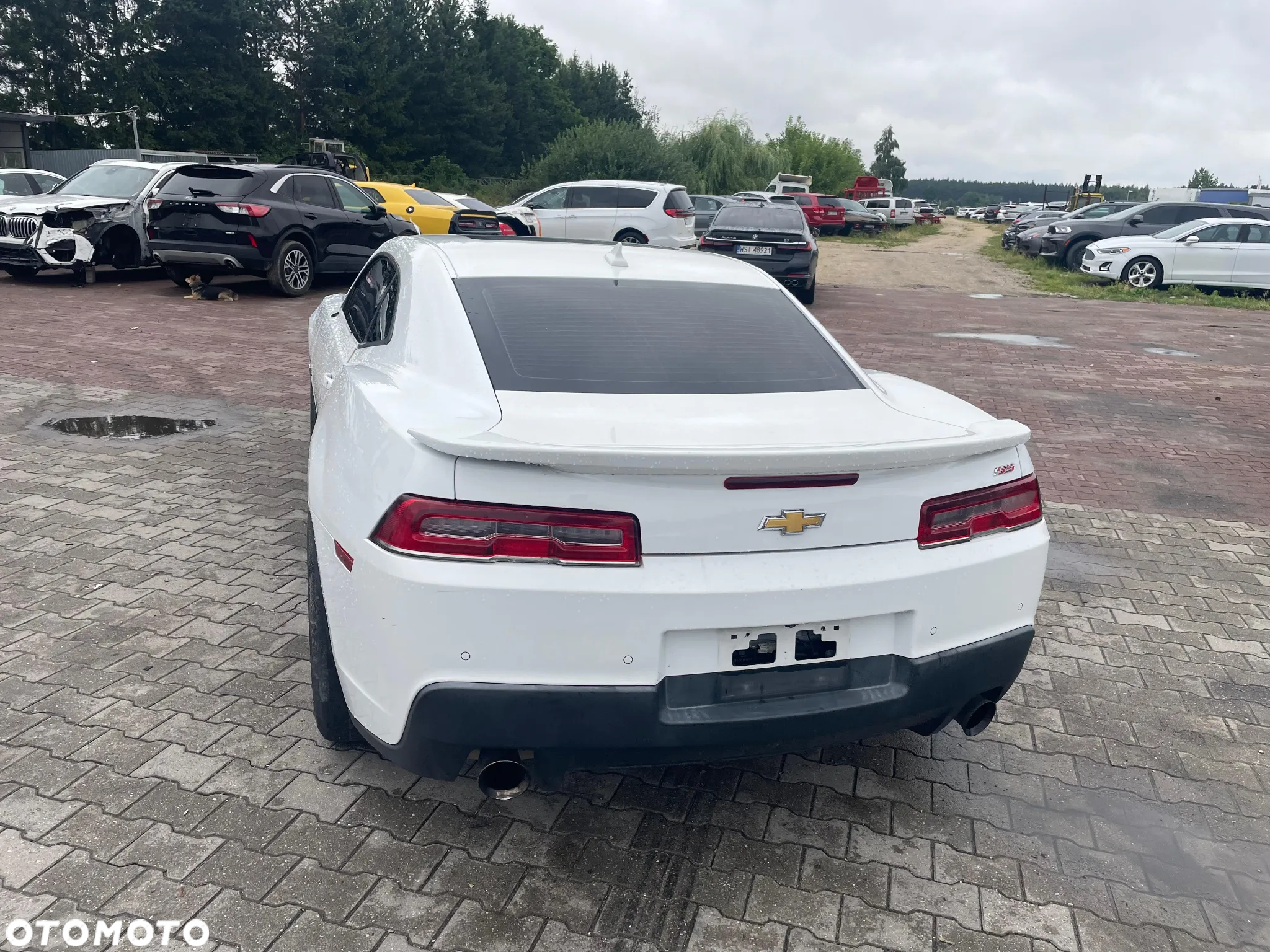 Chevrolet Camaro Coupe 6.2 V8 - 3