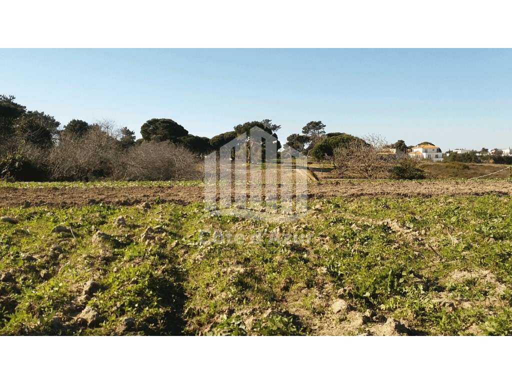 Lote de terreno proximo do centro da Aldeia do Meco. - Grande imagem: 2/2