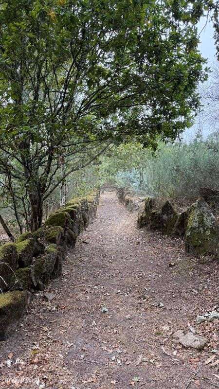 Terreno  para venda - Grande imagem: 3/13