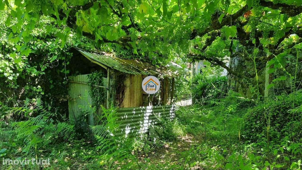 Quintinha para Restauro | Geoparque de Arouca – Moldes - Grande imagem: 4/20