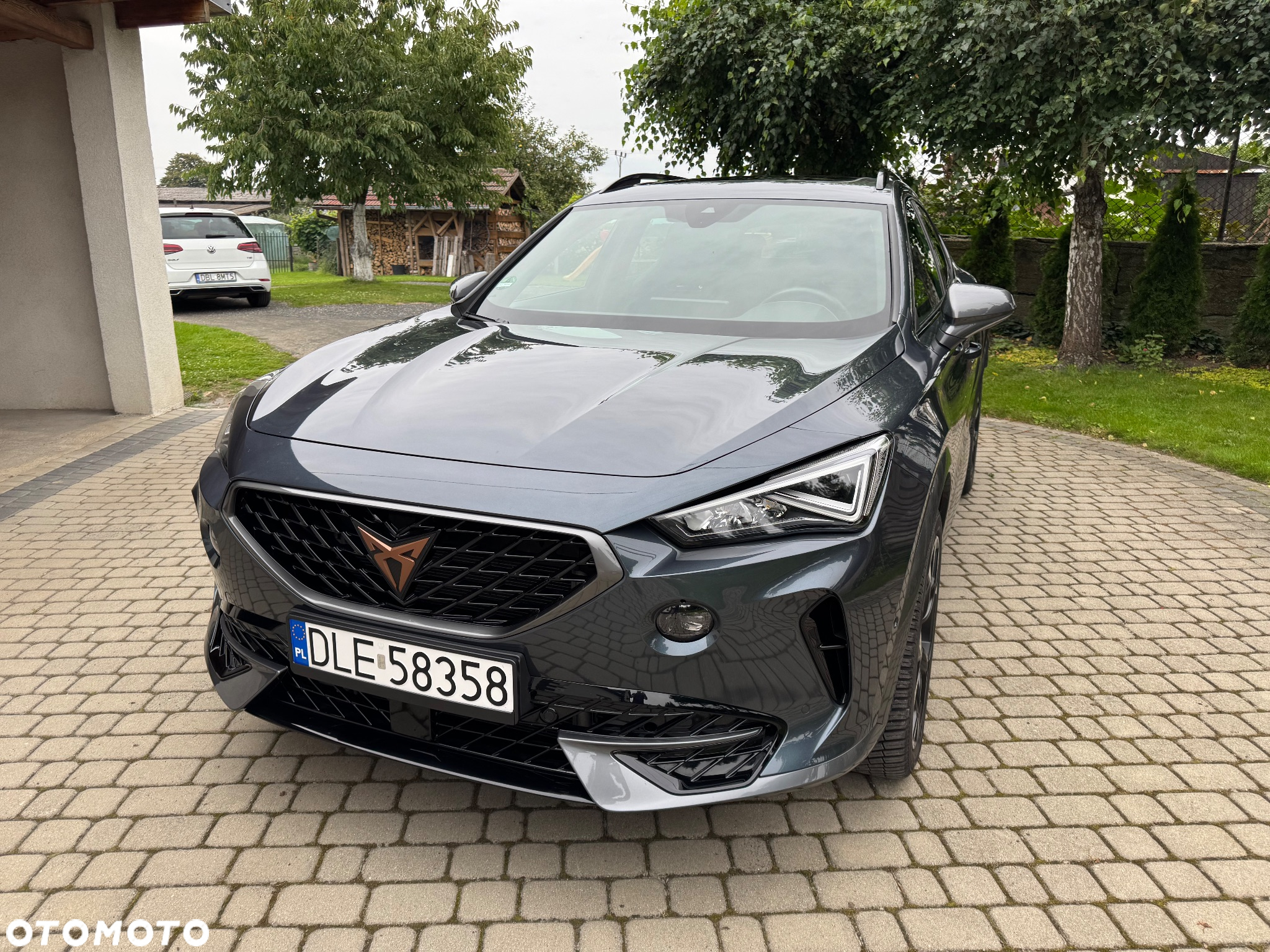 Cupra Formentor 2.0 TDI 4Drive DSG - 8