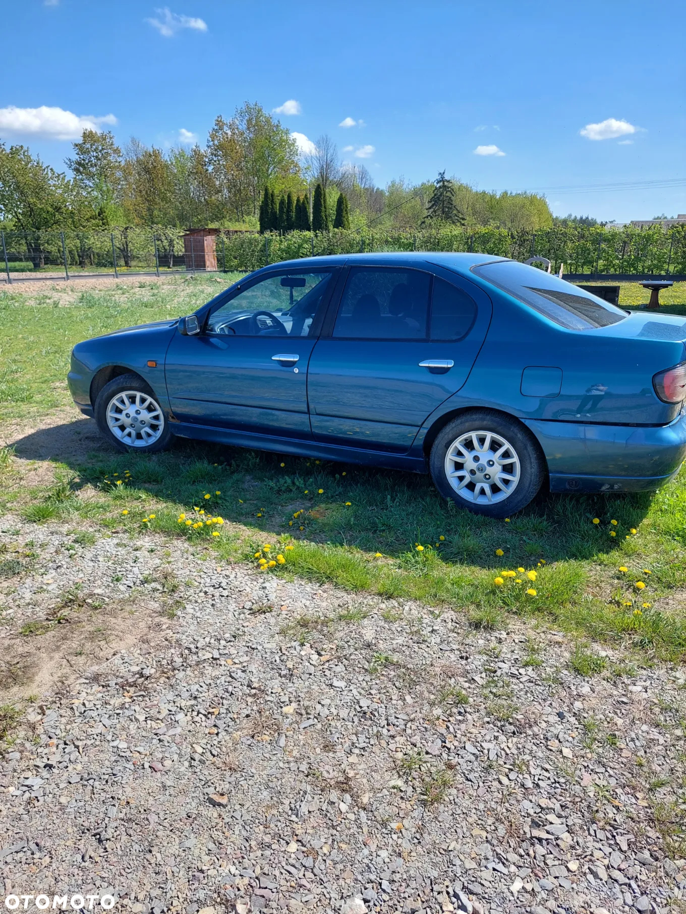 Nissan Primera 1.8 Comfort High - 7