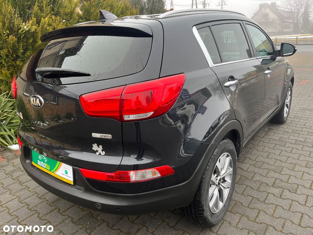 Kia Sportage - 3
