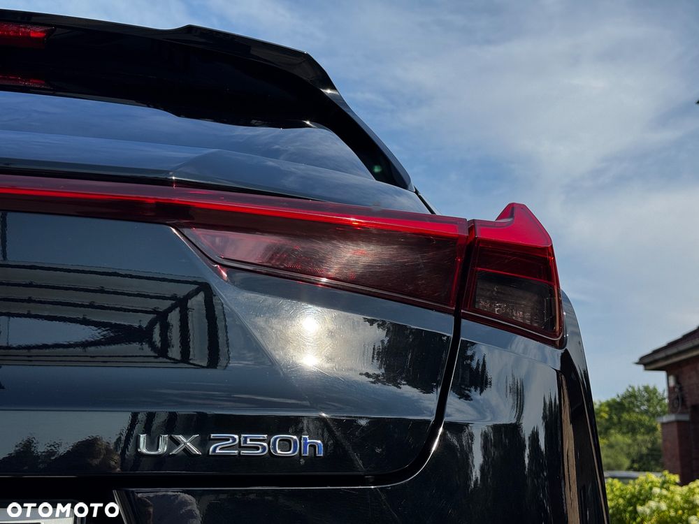 Lexus UX 250h GPF Prestige 2WD - 19
