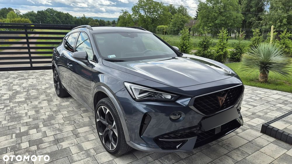 Cupra Formentor 2.0 TSI 4Drive DSG - 12