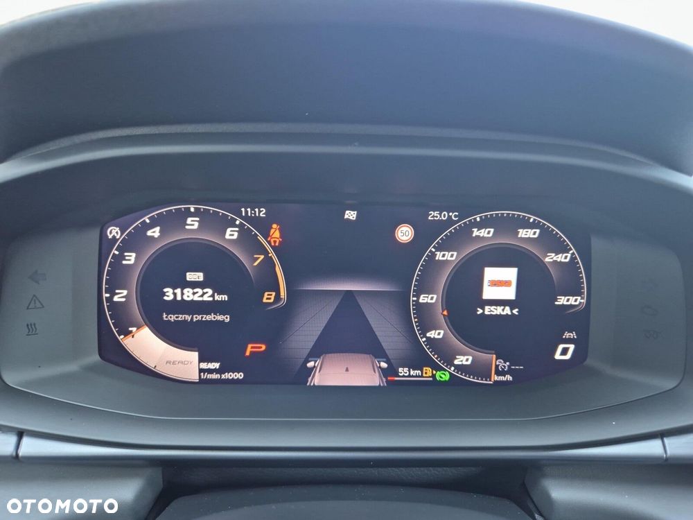 Cupra Terramar - 20