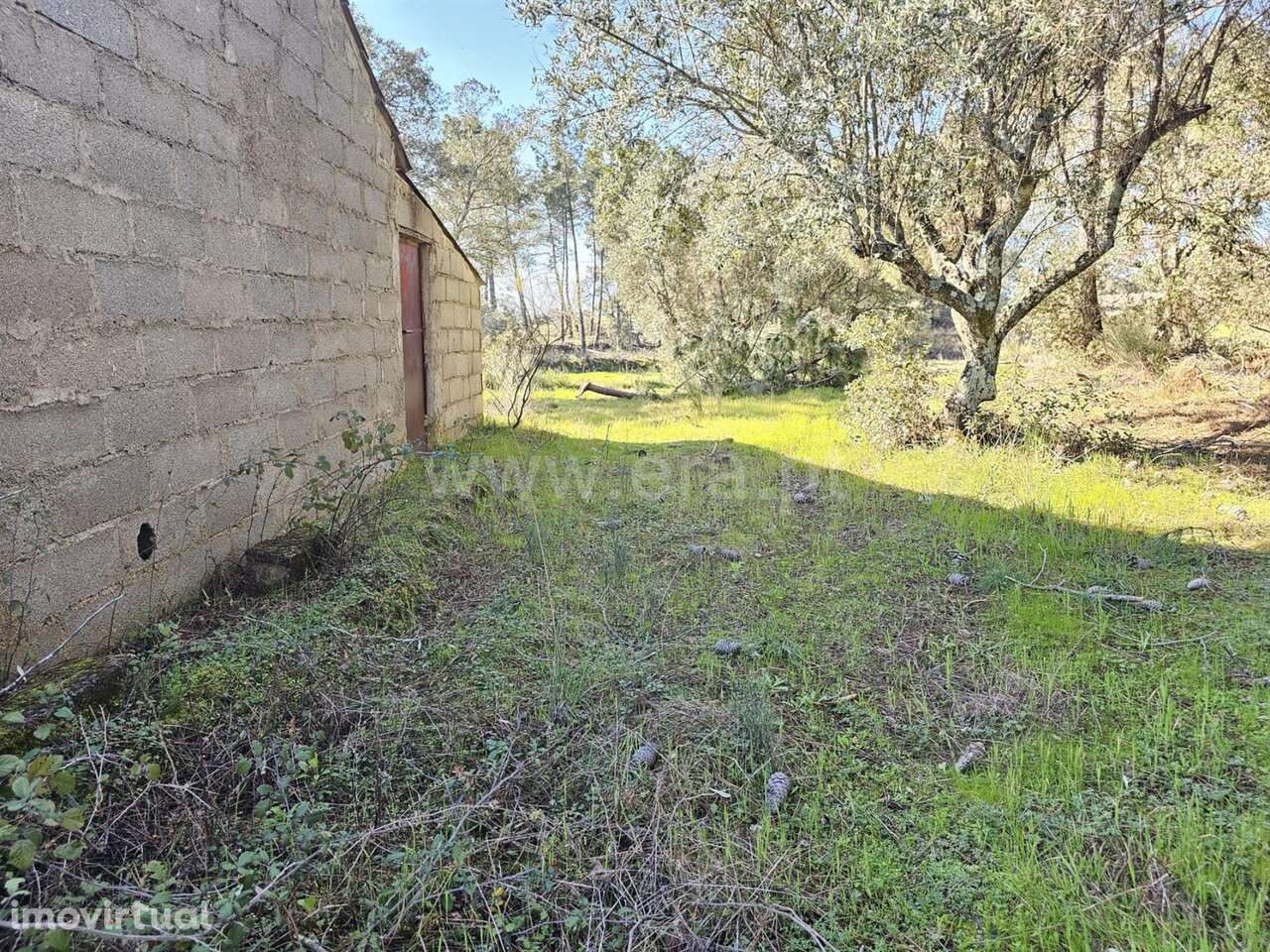 Terreno / Fundão, Orca - Grande imagem: 3/20