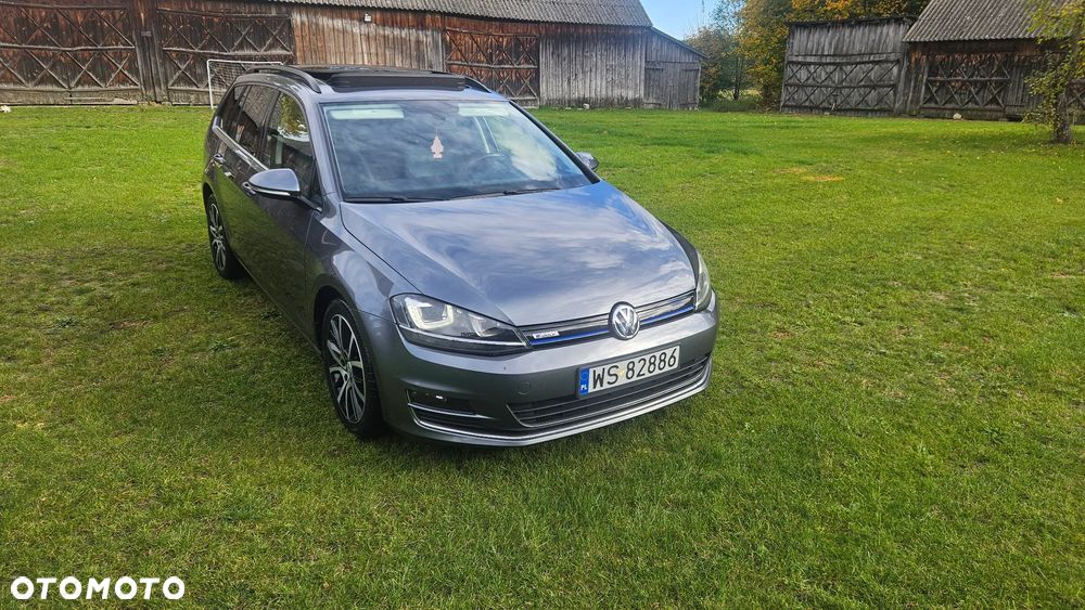Volkswagen Golf - 22