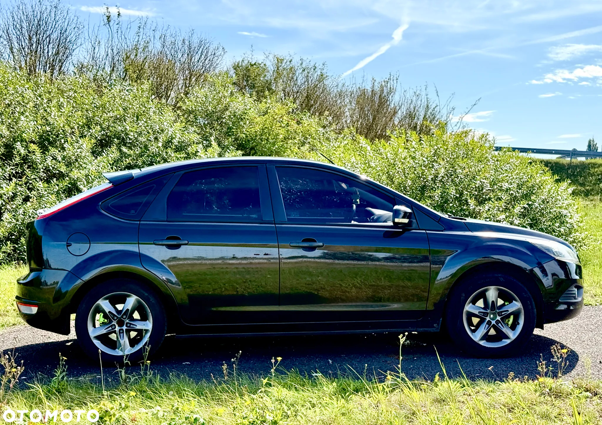 Ford Focus - 15