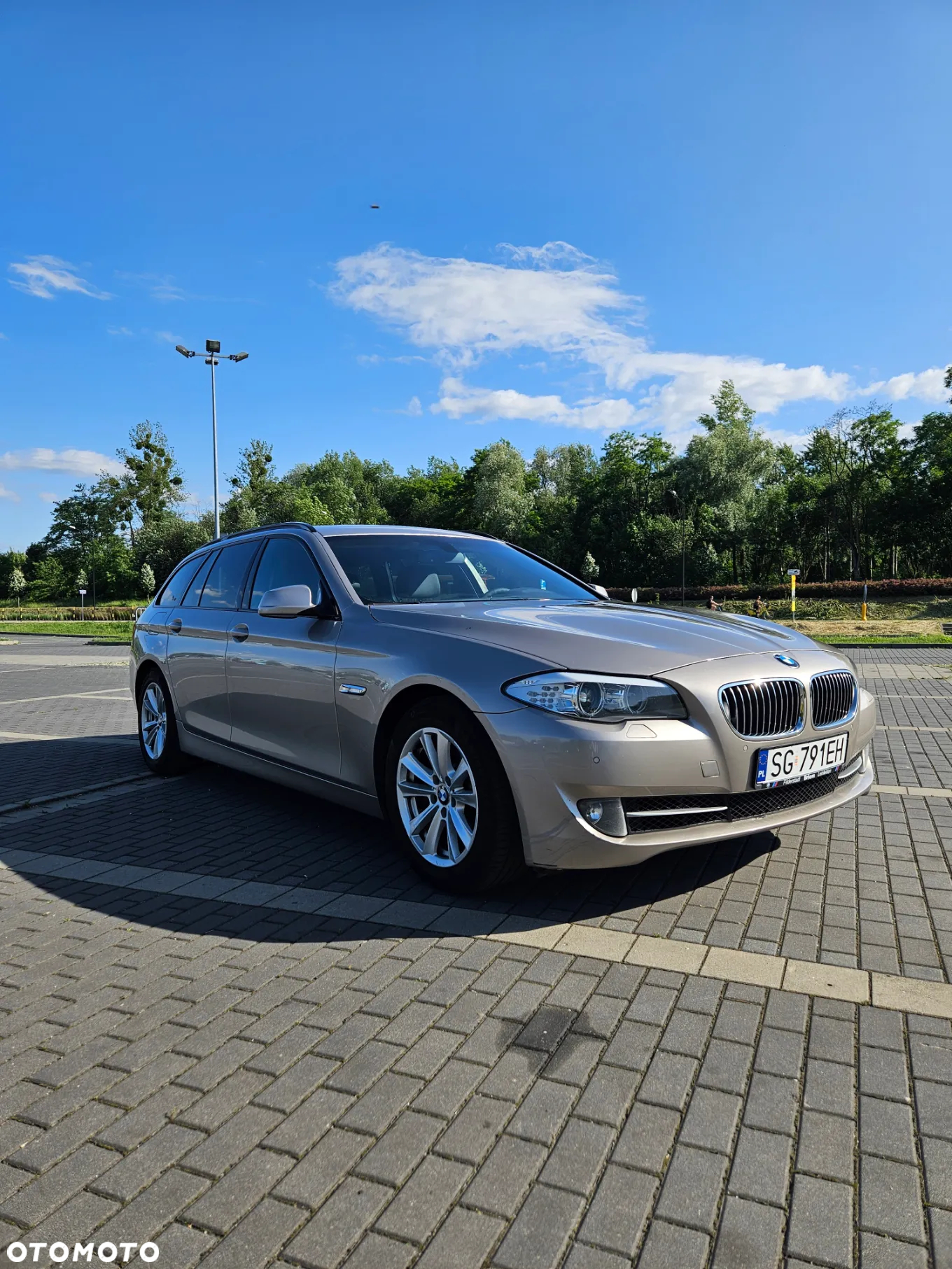 BMW Seria 5 525d - 4