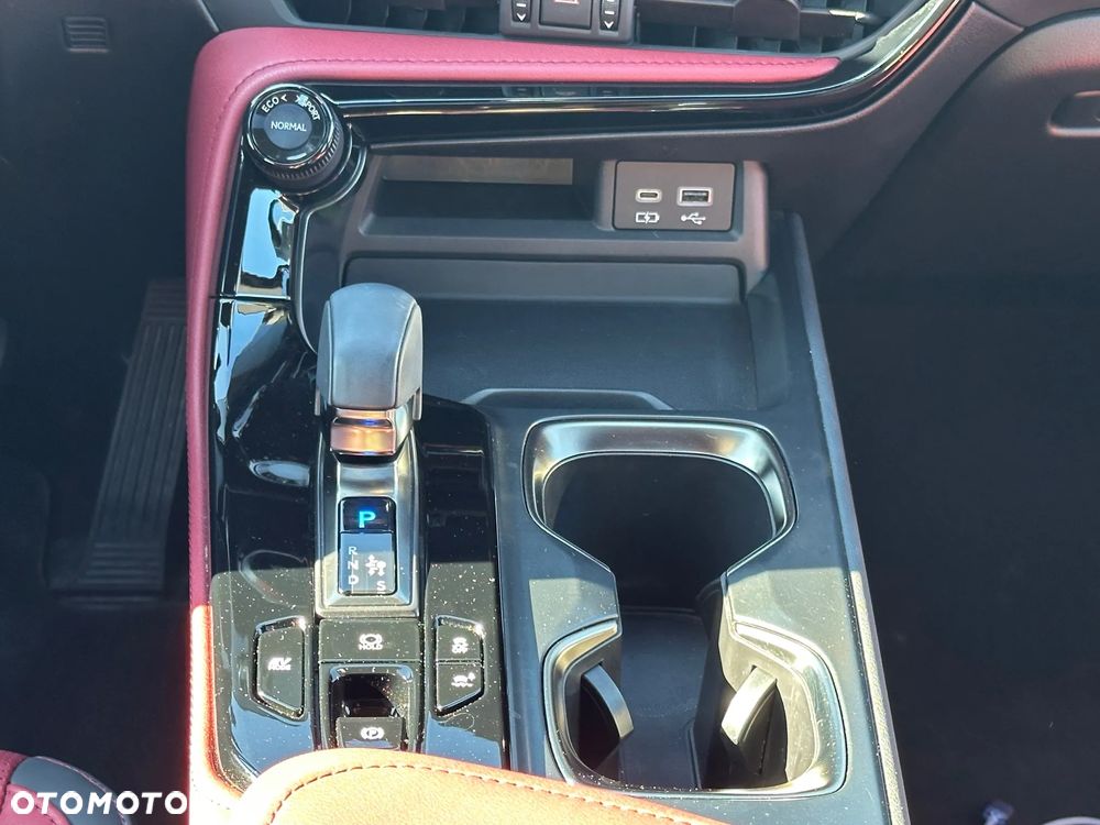 Lexus NX - 19