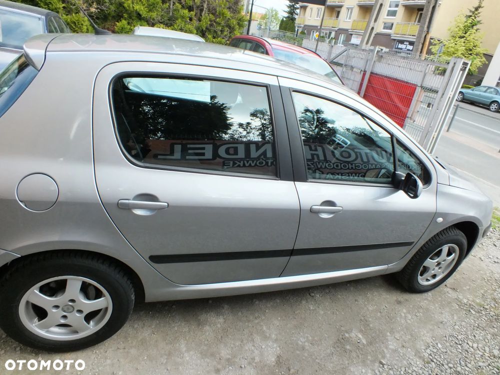 Peugeot 307 - 6