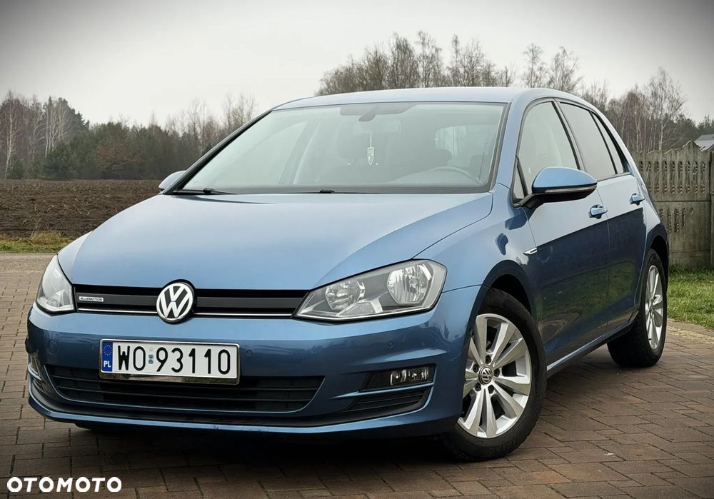 Volkswagen Golf 1.6 TDI BlueMotion Technology Cup - 11