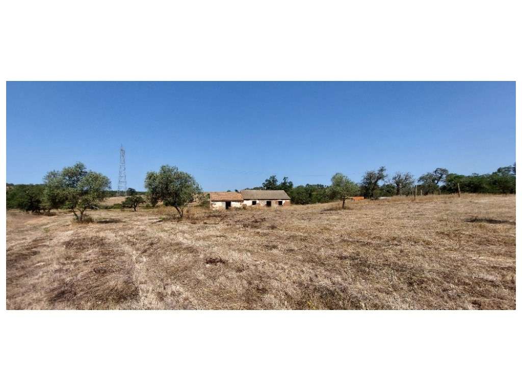 QUINTA (54.409m2) - Grande imagem: 4/14