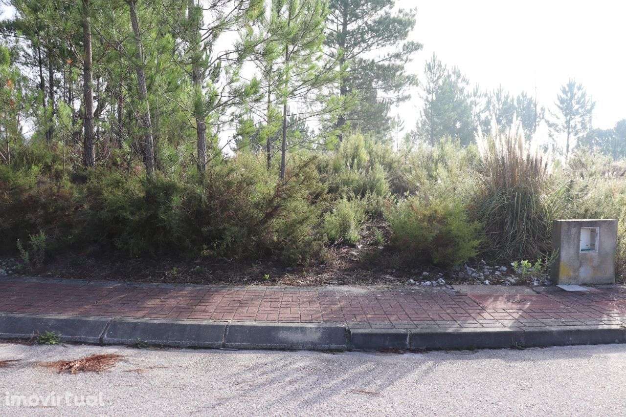 Lote - Grande imagem: 3/5