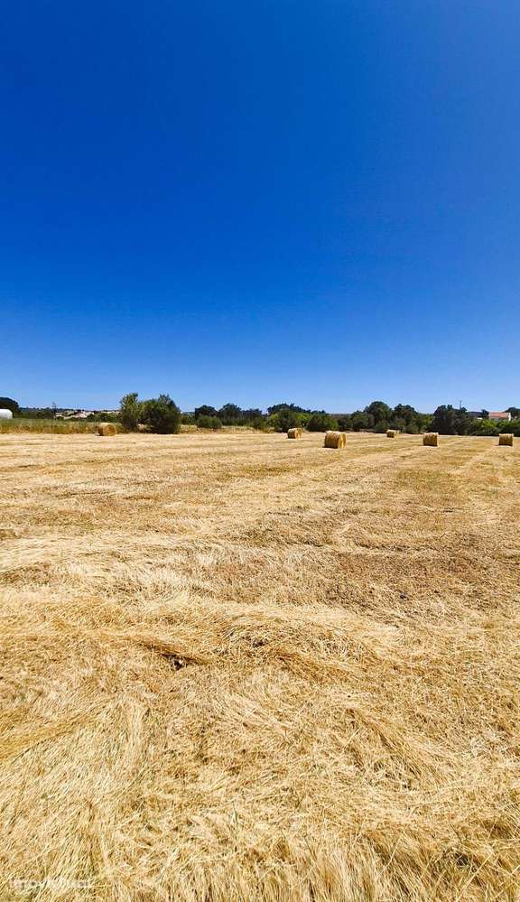Oportunidade! Terreno Rústico de 6.440 m² em Algoz – Silves - Grande imagem: 2/34