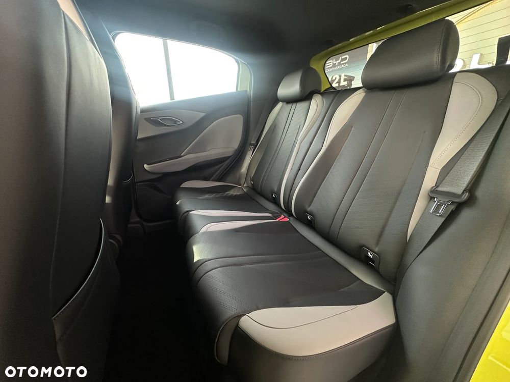 BYD Dolphin Surf - 17