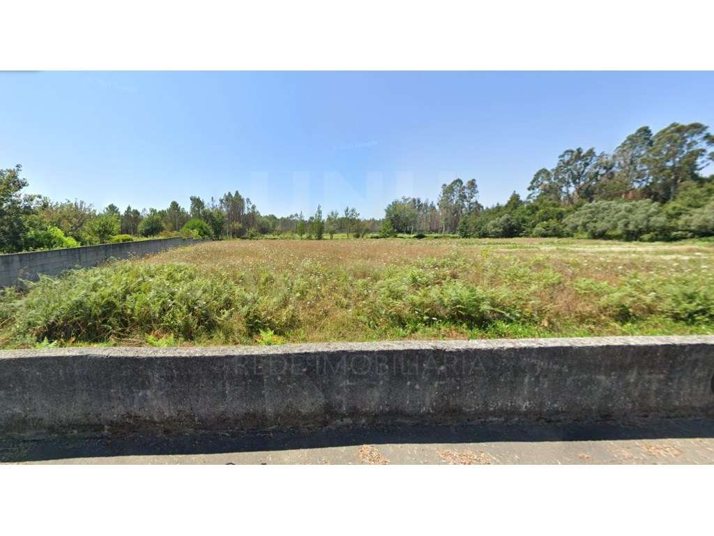 Terreno em Vila de Punhe - Grande imagem: 2/8