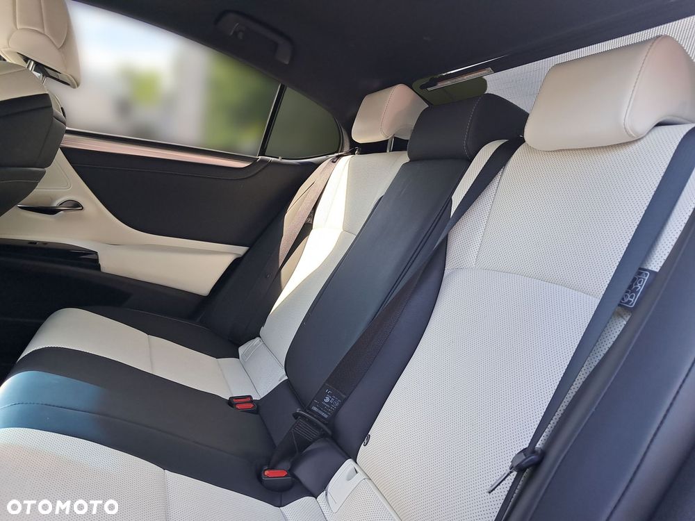 Lexus ES 300h F Sport Edition - 14
