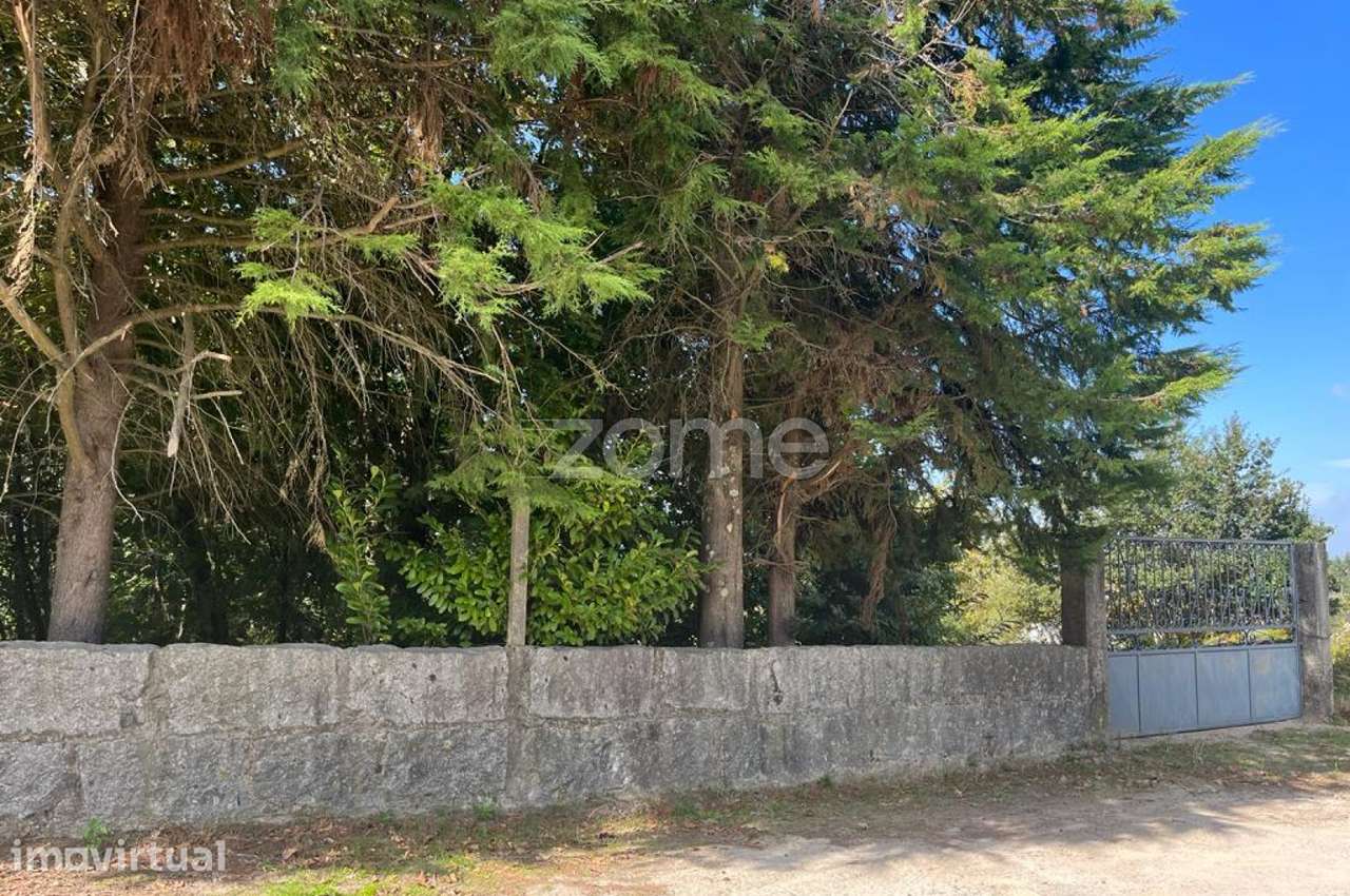 Terreno com 10 000M2 em, Sanfins, Paços de Ferreira - Grande imagem: 4/25