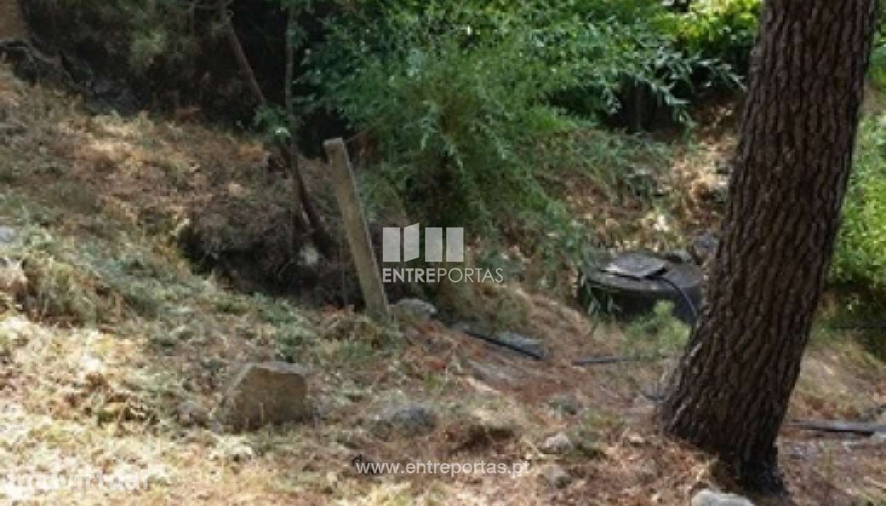 Venda Terreno, vista desafogada, Mesquinhata, Baião - Grande imagem: 5/8