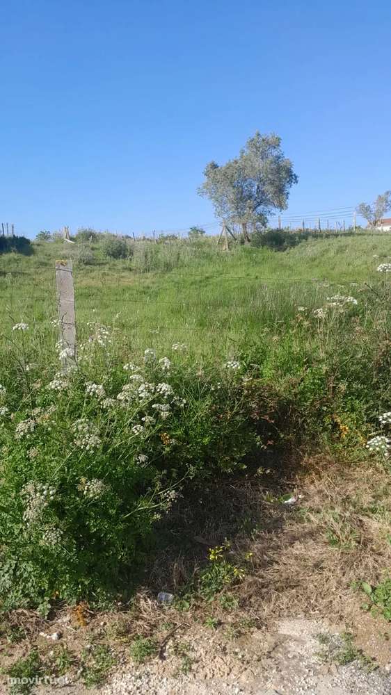 Terreno Urbano em Aveiro - Oportunidade Única por 52.380€ - Grande imagem: 3/9