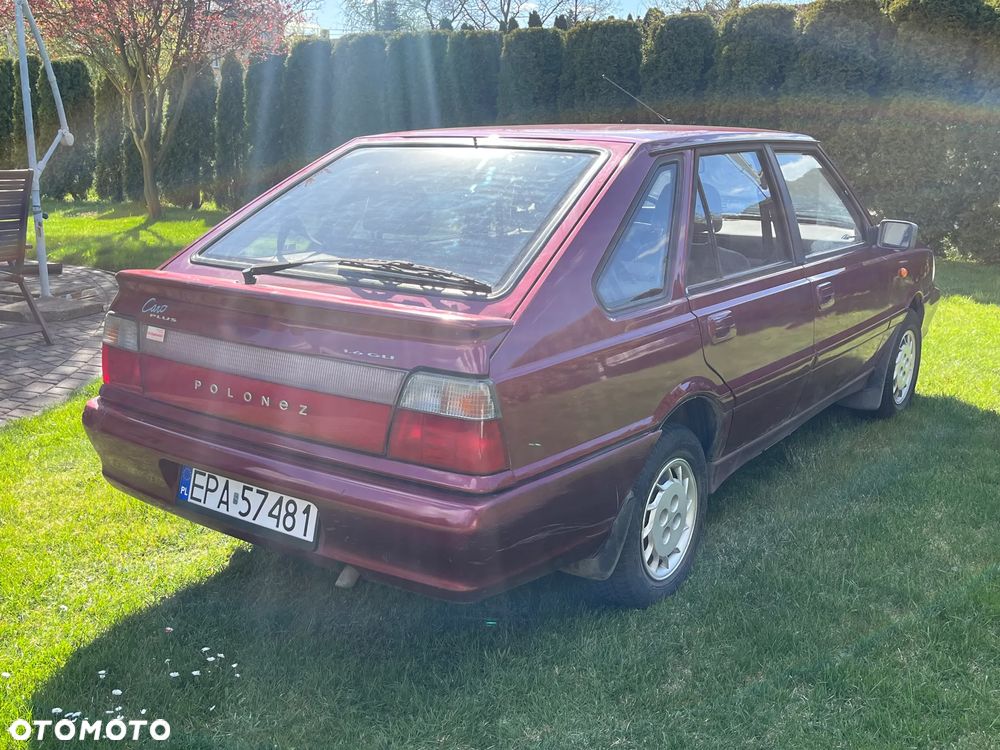 Polonez Caro - 5