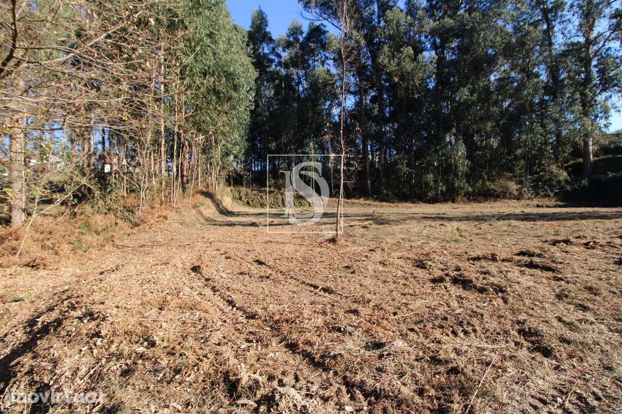 Terreno Exclusivo em Telões, Amarante - Grande imagem: 5/19