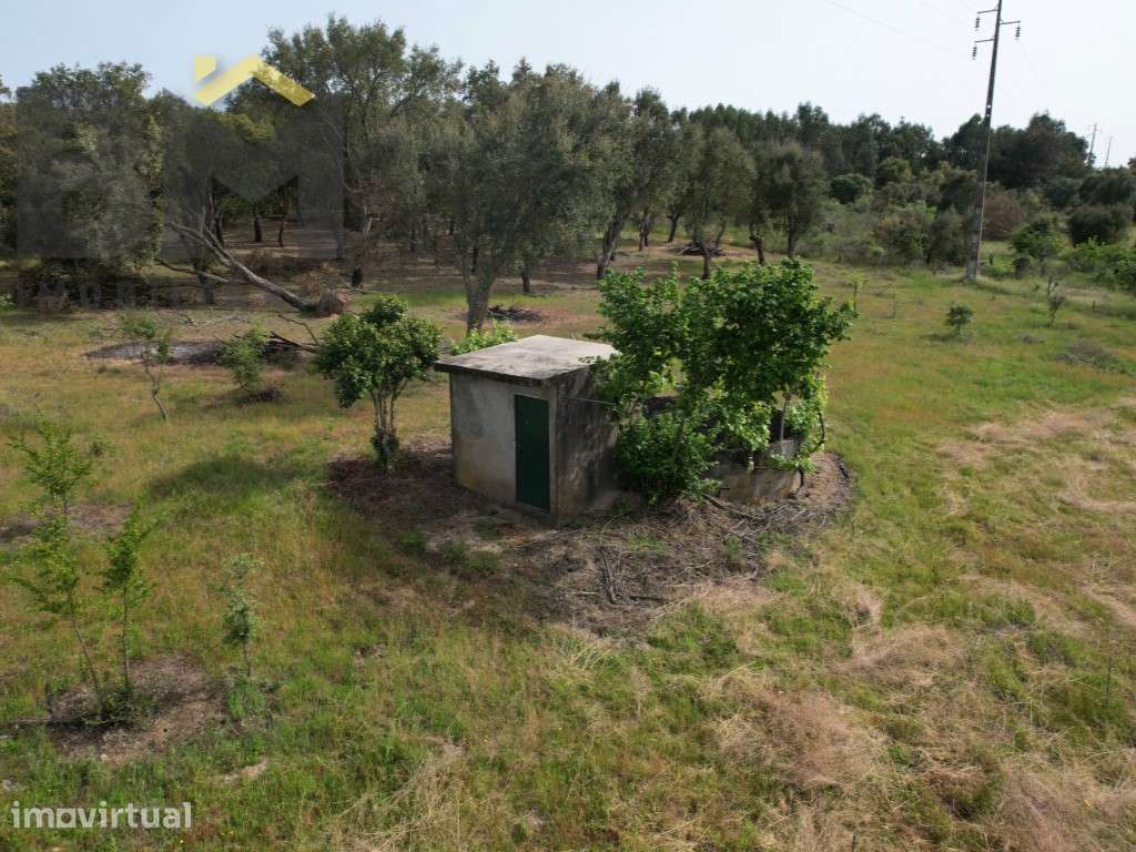 Quinta com 2,1 hectares em Castelo Branco - Grande imagem: 4/12
