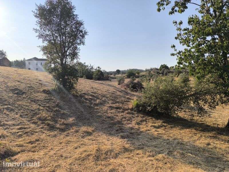 Quinta  Zona Centro 18.000 m² localização previligiada - Grande imagem: 2/8