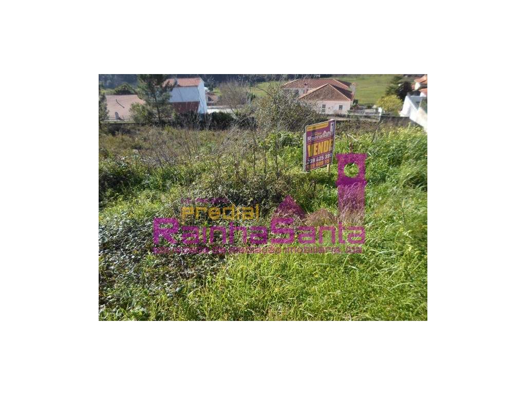 2 Lotes de terreno em Urbanização- Perto dos Carvalhais-Coimbra - Grande imagem: 3/3