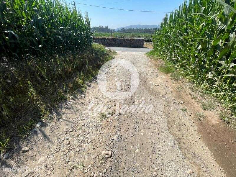 Terreno para moradia com 9.748m2 e 90m de frente em Parada, Vila do... - Grande imagem: 3/5