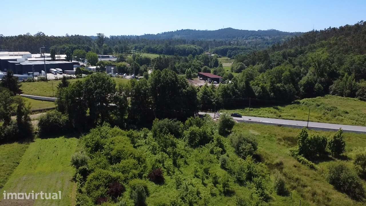 Terreno Rústico  Venda em Carvalhais e Candal,São Pedro do Sul - Grande imagem: 4/9