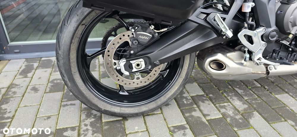 Triumph Tiger - 19