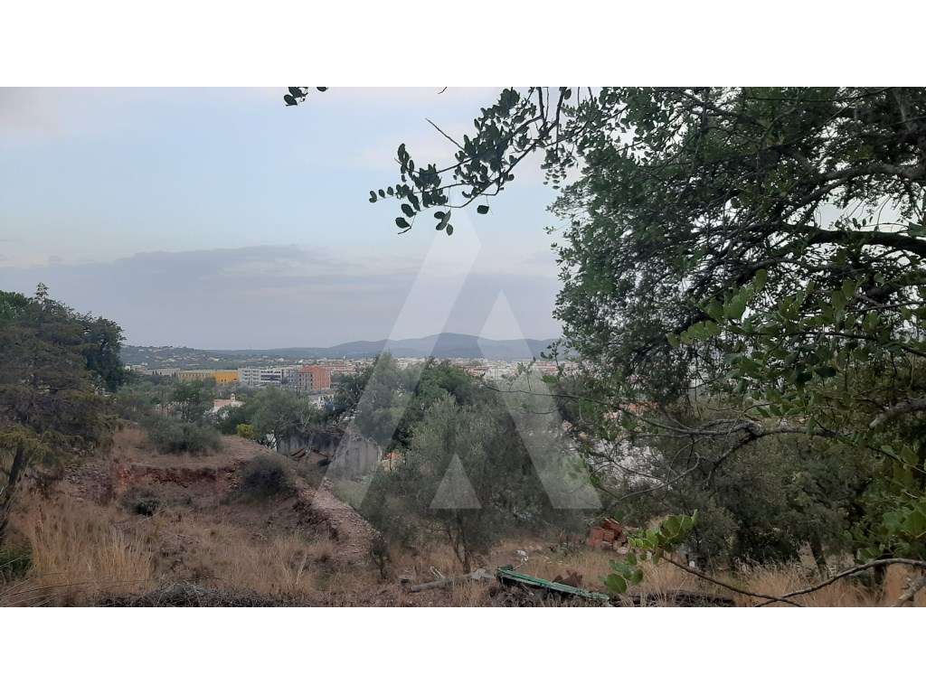 Lote de terreno com ruína e vista panorâmica, em São Brás de Alportel. - Grande imagem: 4/9