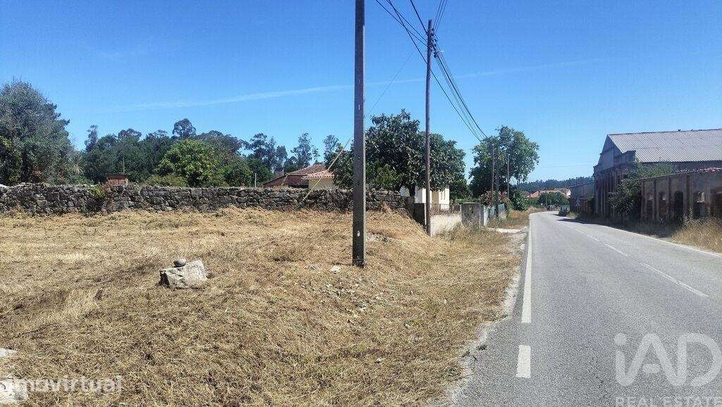 Terreno Agrícola em Canas de Santa Maria - Grande imagem: 5/28