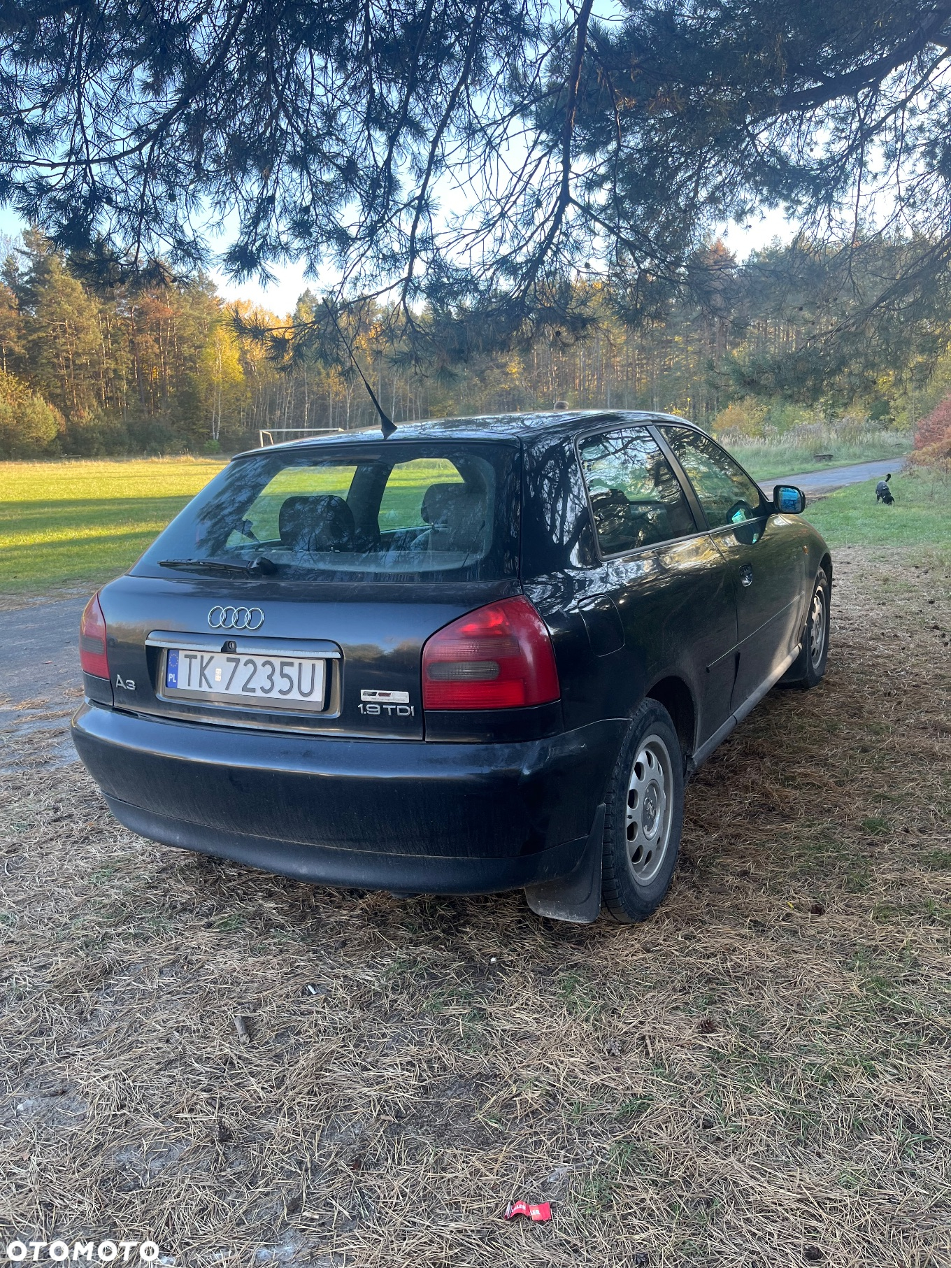 Audi A3 - 2