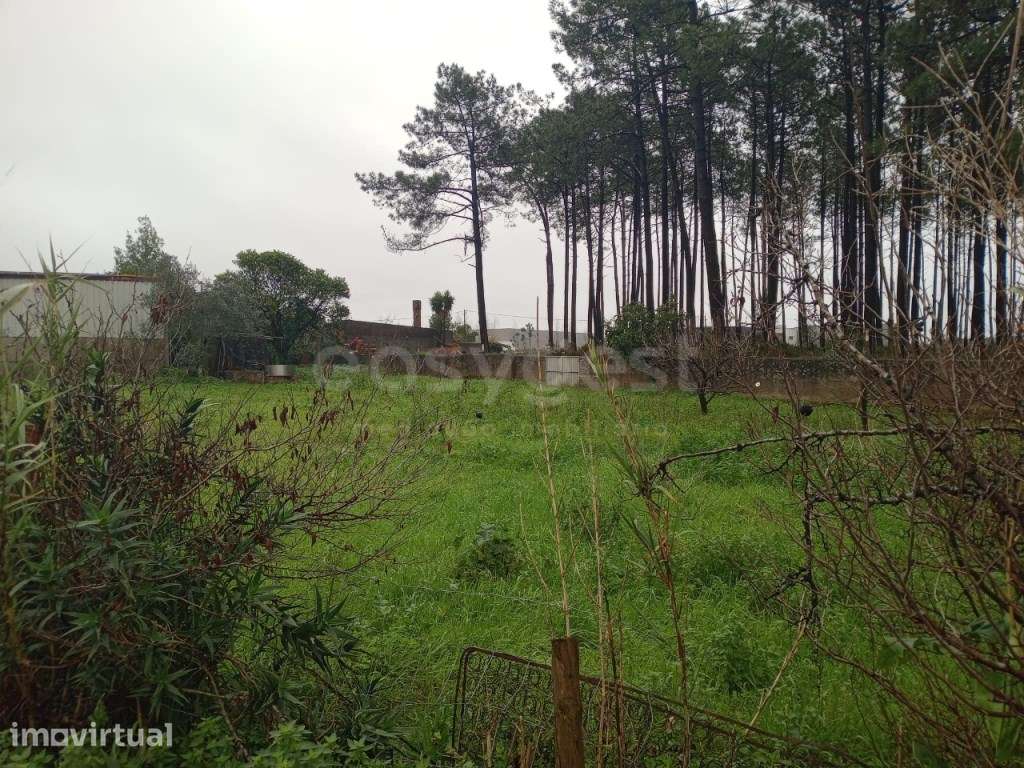 Terreno para construção, situado em Martingança - Grande imagem: 3/6