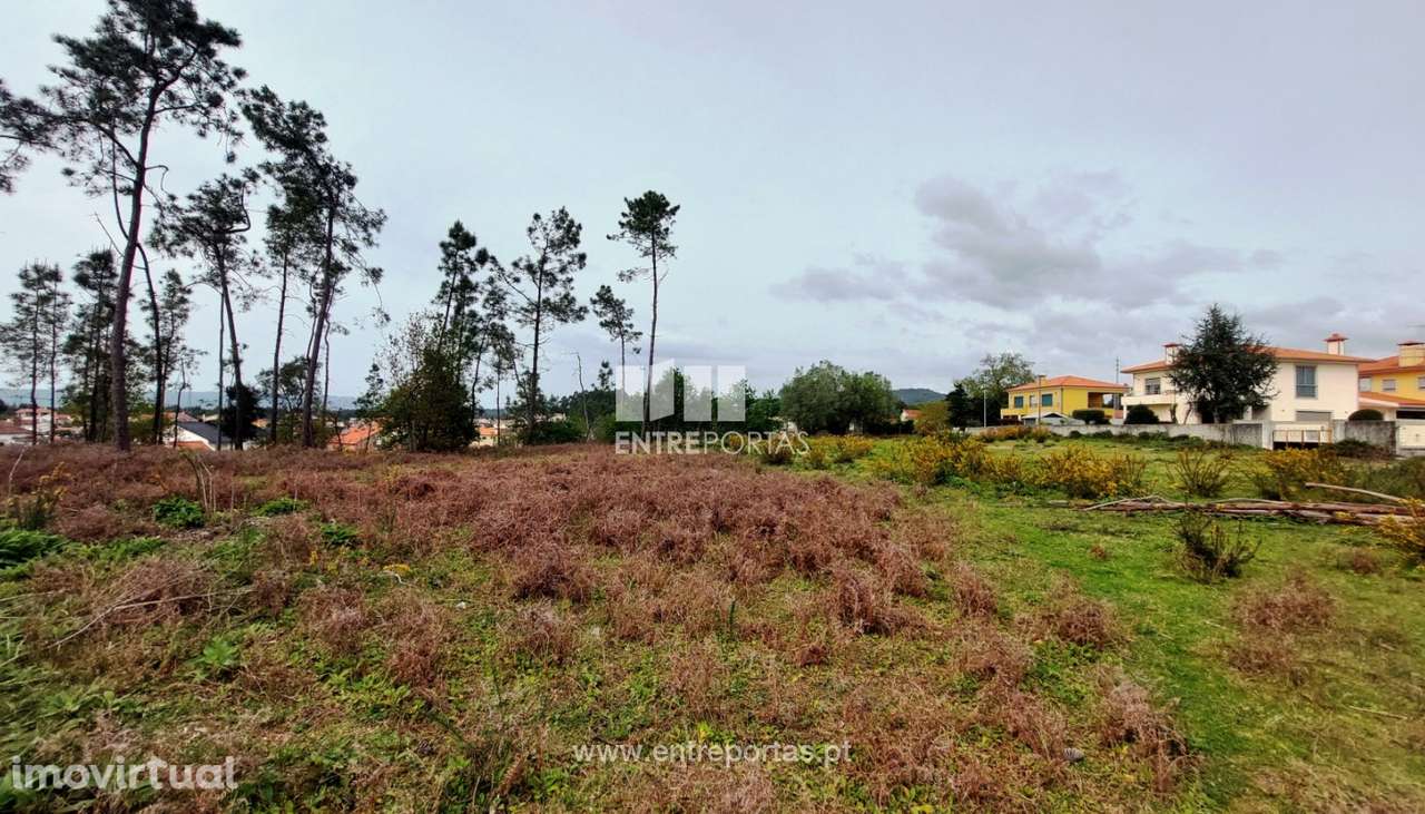Venda de fantástico terreno para construção, Alvarães, Viana do Ca - Grande imagem: 2/30