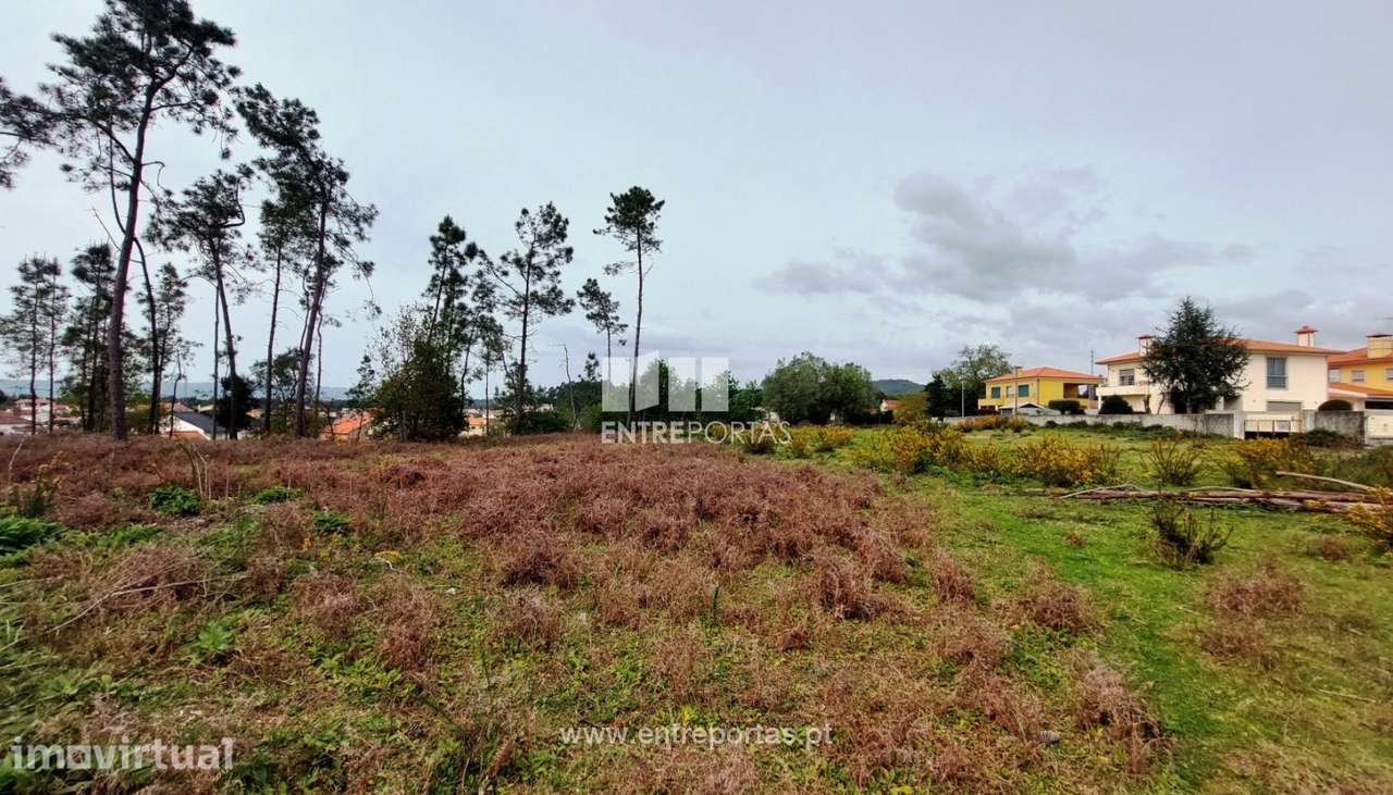 Venda de fantástico terreno para construção, Alvarães, Viana do Ca - Grande imagem: 2/30